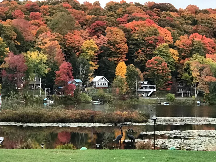 Blue Heron Lake House on Gorton Lake - Image 1