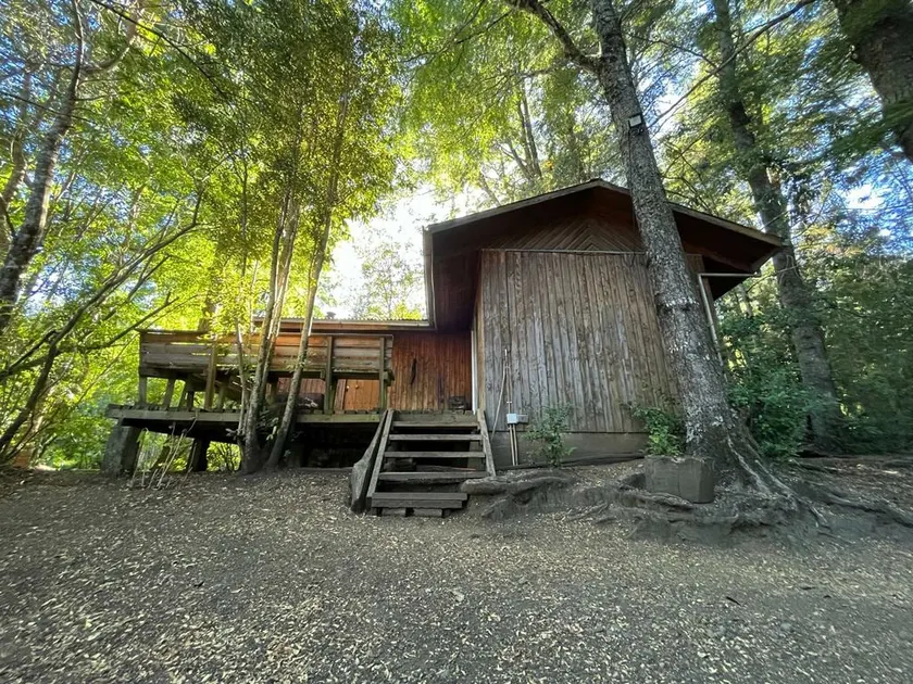 Cabin surrounded by nature and tranquility - Image 1