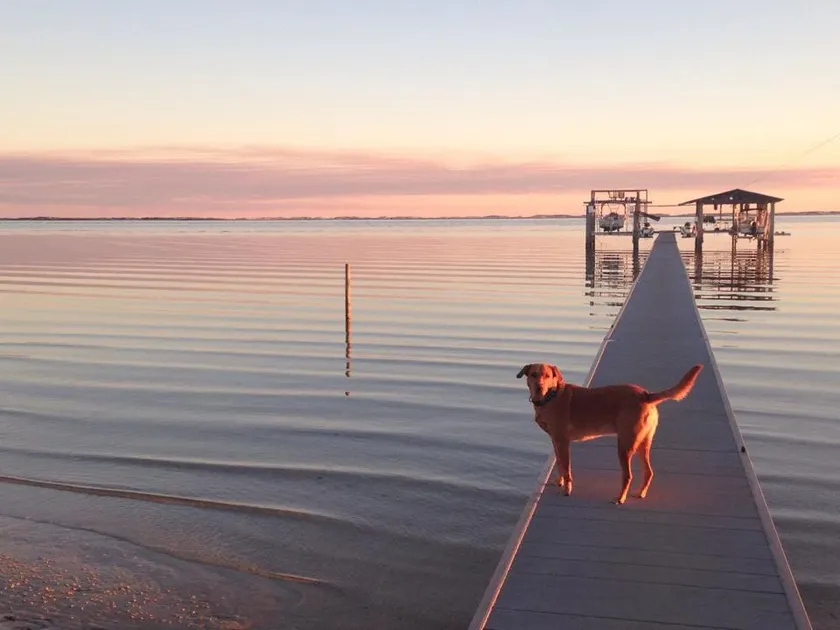 Waterfront Escape to Gulf Beach Getaway! - Image 1