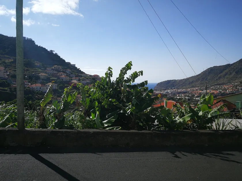 Family House in Madeira - Image 1