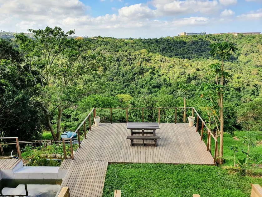 Jungle Oasis - Image 1