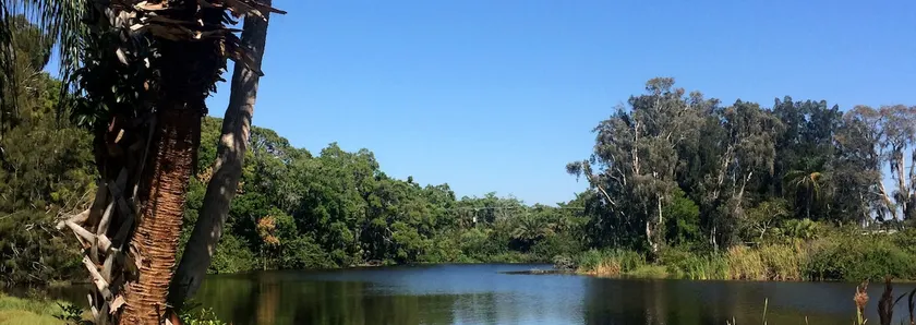 The Lake House - Image 1