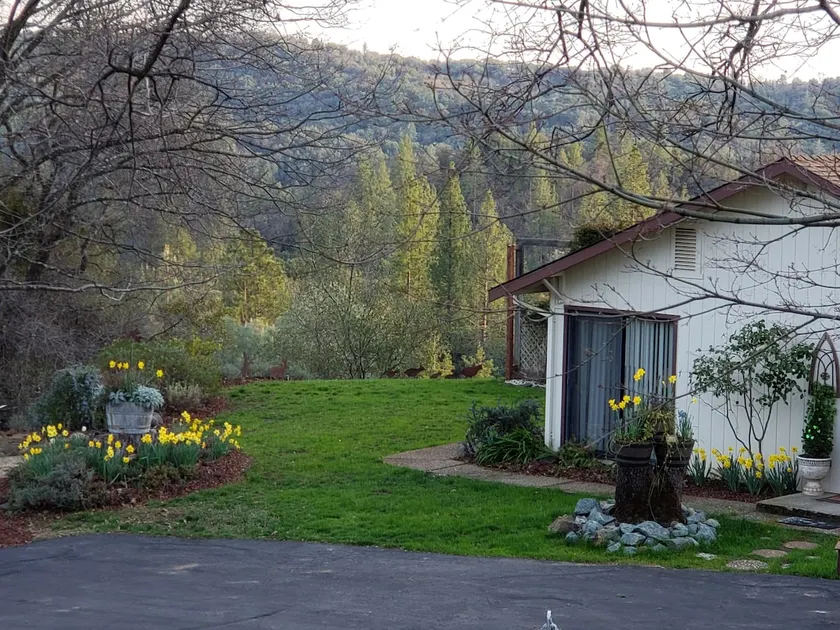 Guest House Mountain Retreat - Image 1