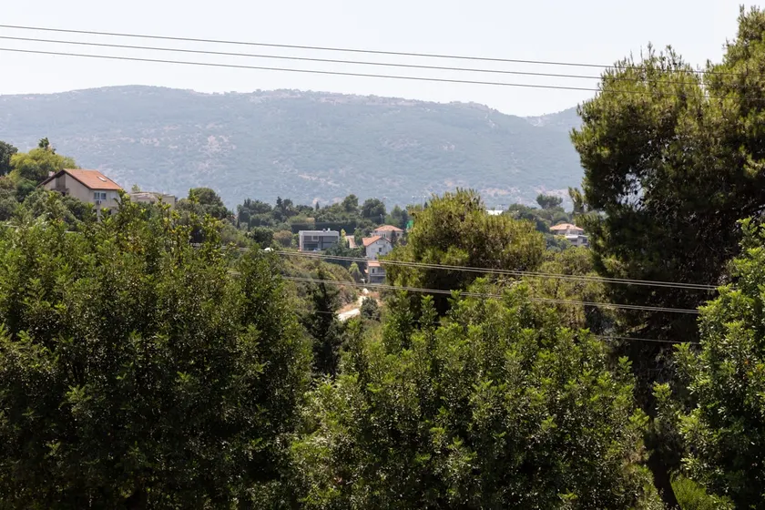 Sisso in the green north of Israel tivon Valley - Image 1