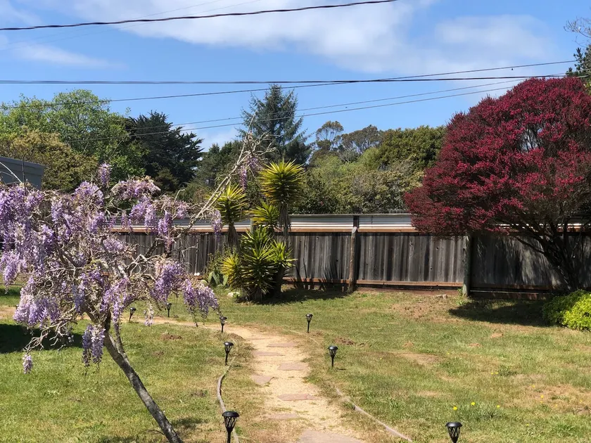 Cheerful two bedroom house near the beach - Image 1