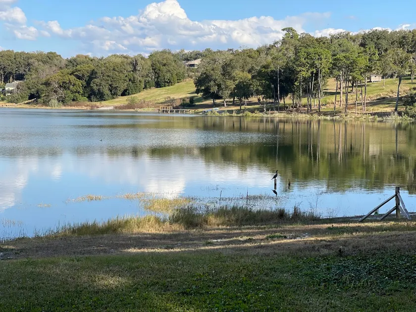 Lake Nettie’s Secret • Lakefront - Image 1