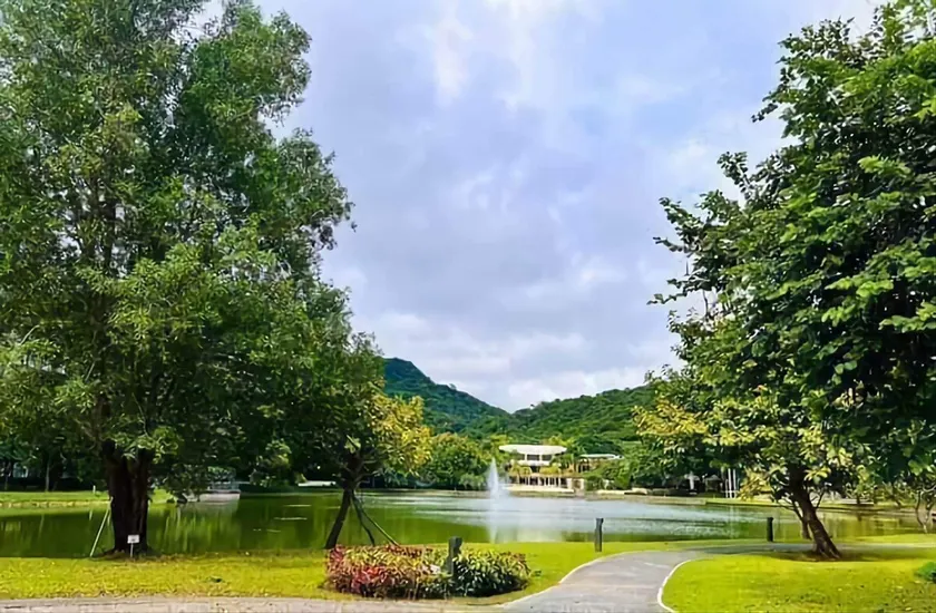 Pico De Loro Myna 510 - Image 1