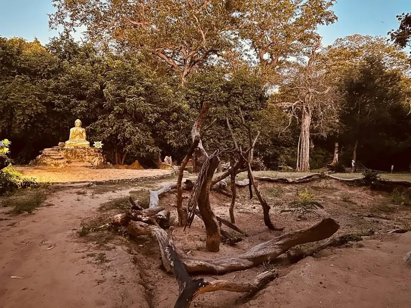 Jungle Cabana - Image 1