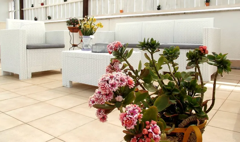 The terrace of Agrigento - Image 1