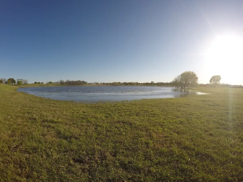 Cottage By The Lake; 40 acre farm with beautiful view of our 15 acre lake. - Image 1