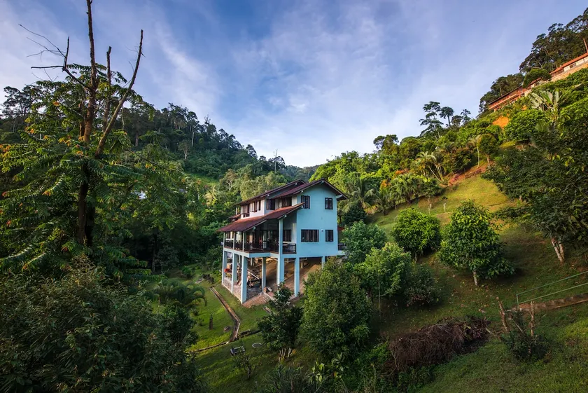 Rest. Pause. Rainforest Retreat - Image 1