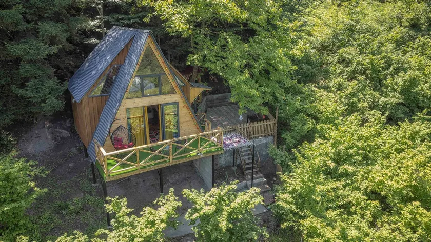 Forest House #2 - Image 1