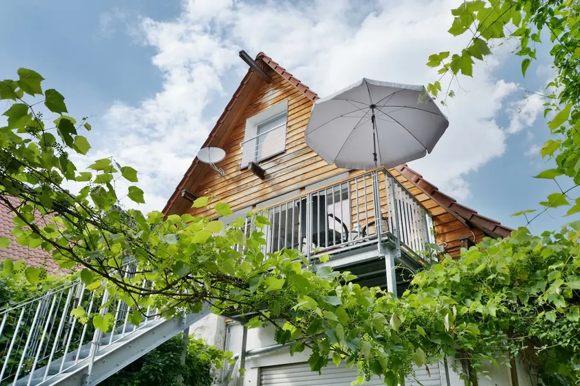 Discover vineyards, nature, vineyards and surroundings - Image 1