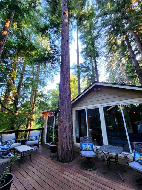 The Artists' Tree House - Image 1