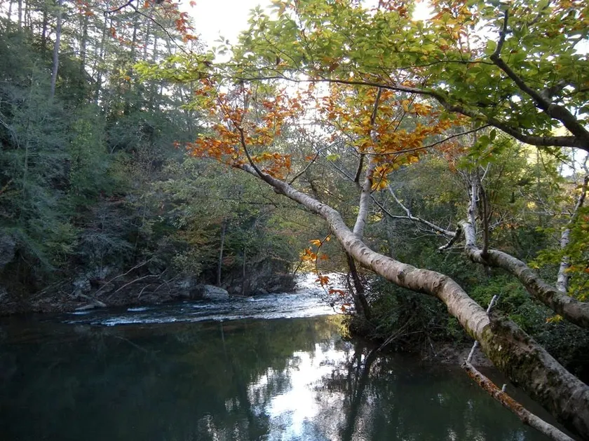 Creek House at Spring Creek Retreat - Image 1