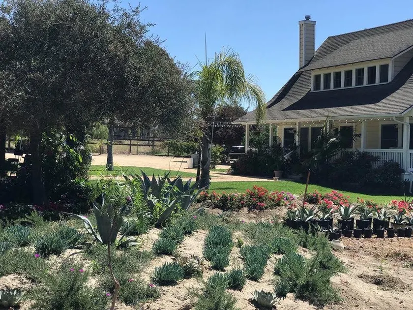 The Four Winds Ranch - Image 1