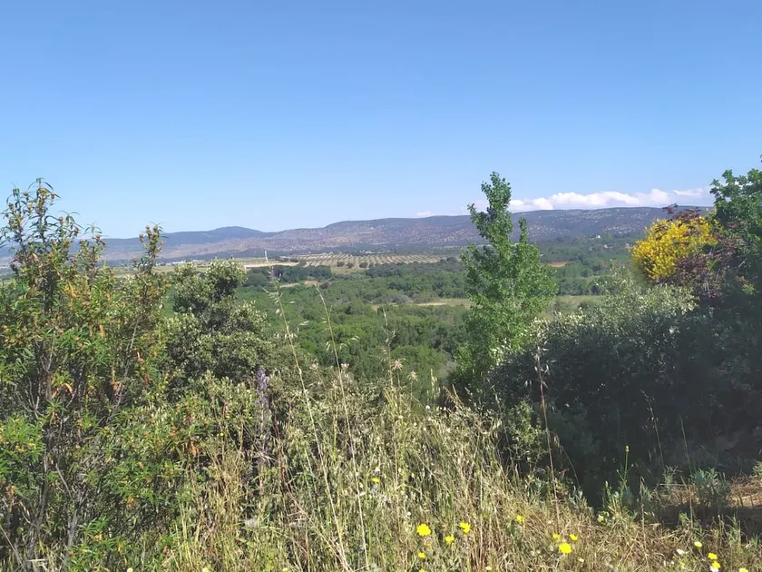”Villa Rodríguez” vacation rental - Image 1