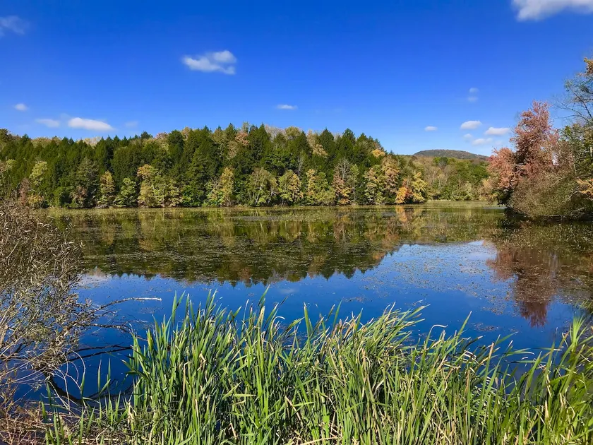 Wildlife Lakeside Cottage beautiful views, amazing wildlife, great location - Image 1