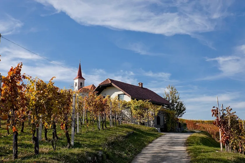 Cottage in the vineyard, airport transfer,car rent - Image 1