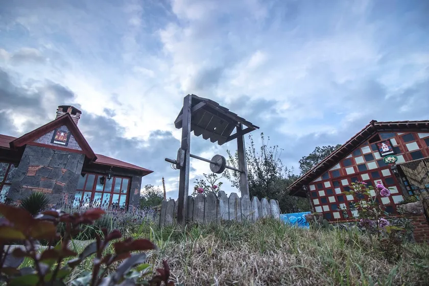 Hidden Forest Cabin - Image 1