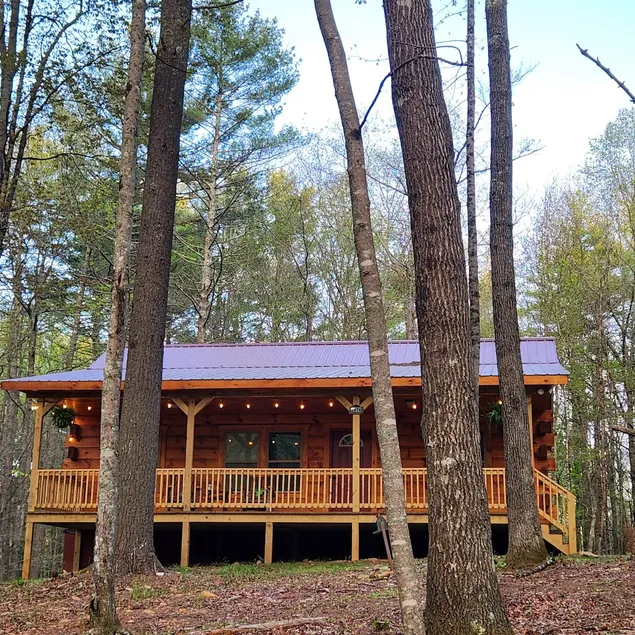 Enchanted Forest Modern Cabin w/ Upgraded Internet - Image 1