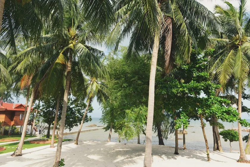 Cay Sao Beach Bungalow with Garden View - Image 1