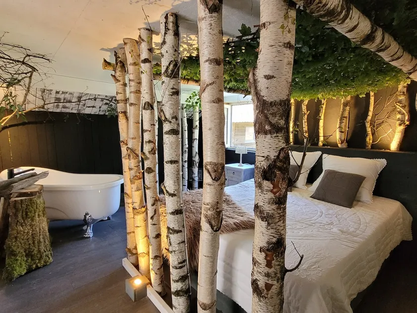 immersive stay with the animals - Image 1
