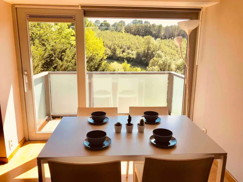 Independent duplex with superb wooded view + balcony - Image 1