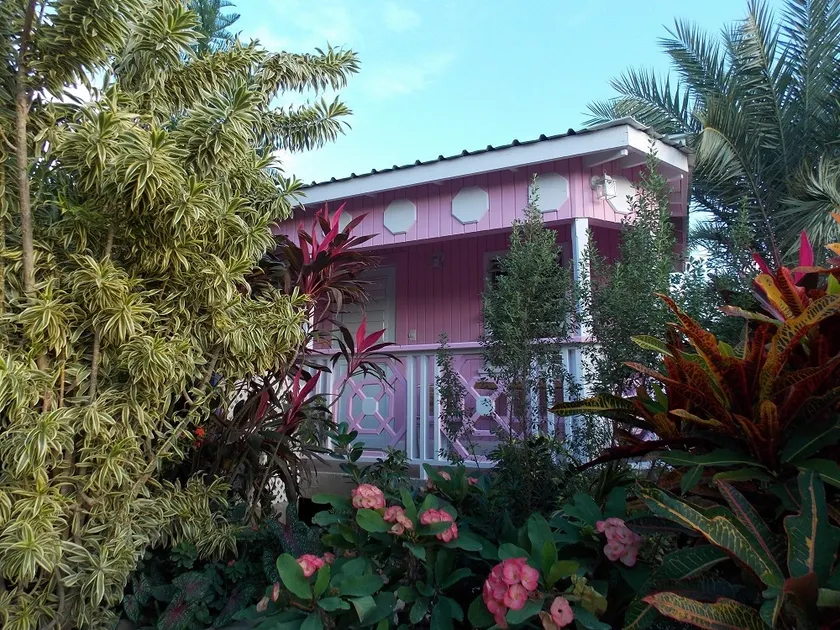 PINKSHACK STUDIO COTTAGE IN JUNGLE THEMED PATIO GARDEN - Image 1