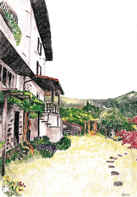 Typical Ticino house, a beautiful garden and lots of sun - Image 1