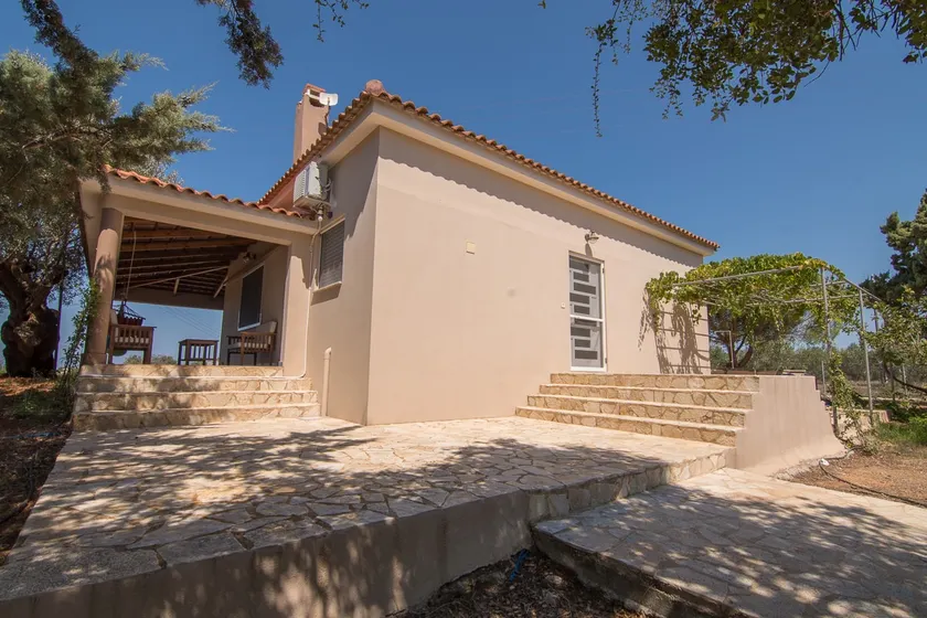 Vacation Family House with Sunset in Olive Grove - Image 1