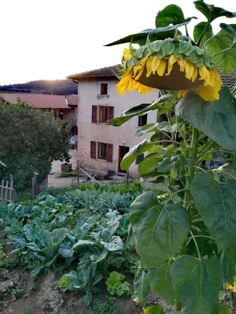 Charming house, 65 km from Lyon, Haut Beaujolais. - Image 1