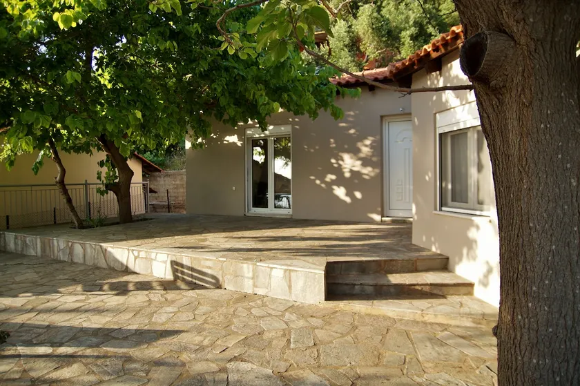 The Olive Tree Villa - Image 1