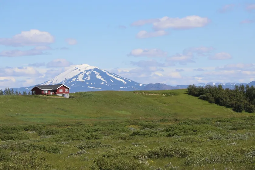 Guest House Svetlana - Image 1
