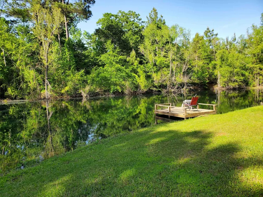 Owen's Pond Cottage with serene and private areas - Image 1