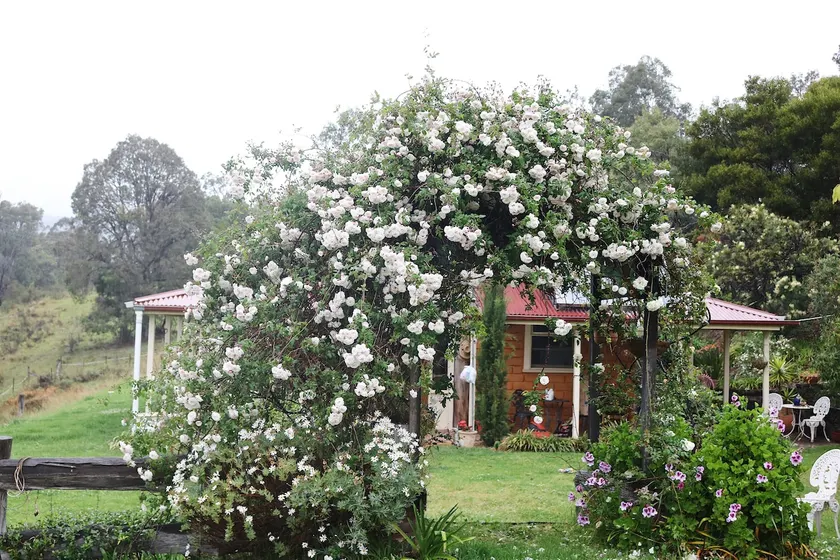 Myrtle Cottage - A quaint mudbrick home - Image 1