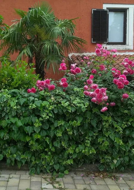 Casa Alida - Image 1
