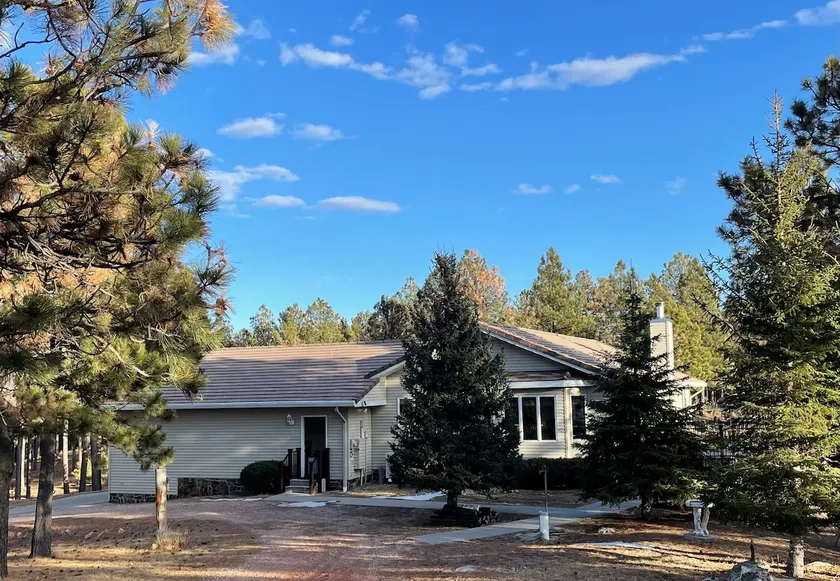 Mountain top home with Mt. Rushmore view - Image 1