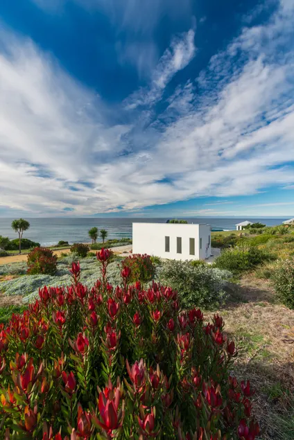Oceanfront + Fireplace btw Bay of Fires&Wineglass - Image 1