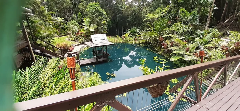 Dog Friendly King Room Rainforest Retreat - Image 1