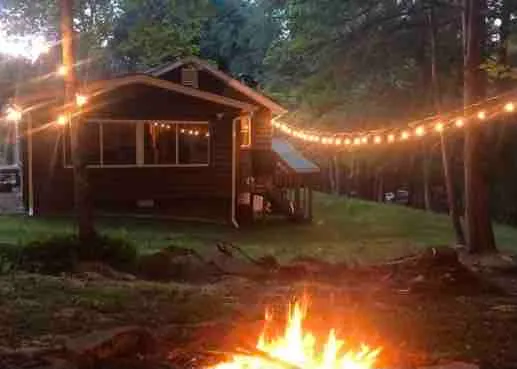 Secluded Peaceful Cabin in the Forest - Image 1