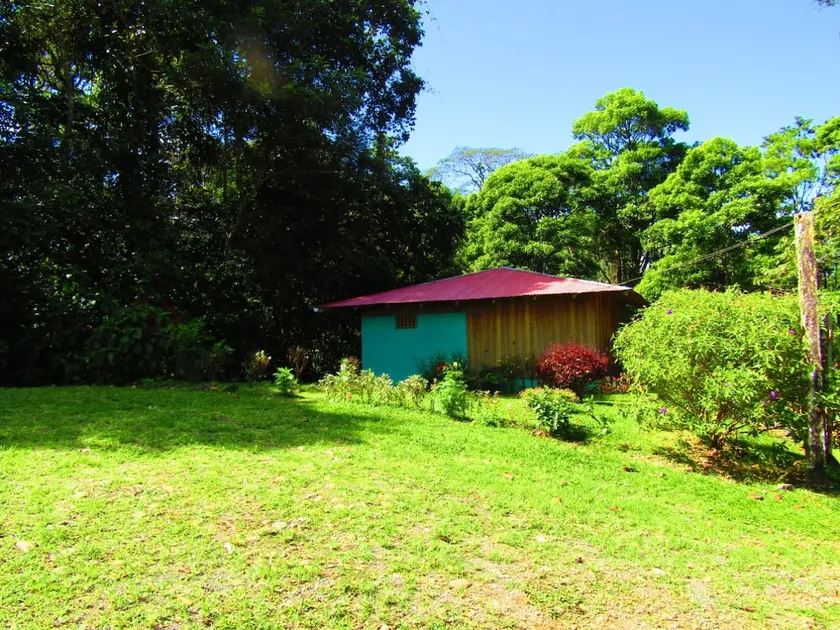 La Escondida Cabin - Tenorio San Miguel Volcano- - Image 1