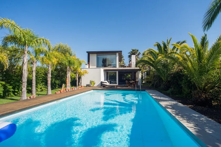 Palms, pool and pet - Image 1