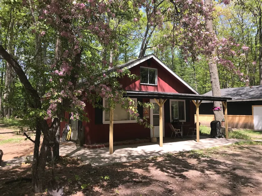 The cabin in the woods - Image 1