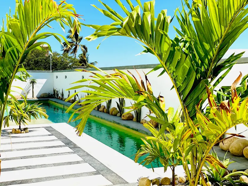 Cabo Nest | Ocean View, Pool & High-Speed Wi-Fi - 4 - Image 1