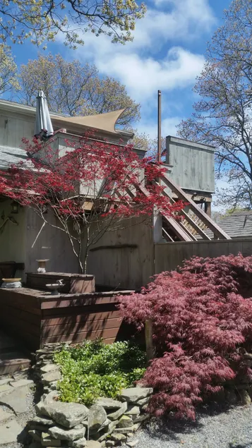 One bedroom guest house on beautiful Cape Cod - Image 1