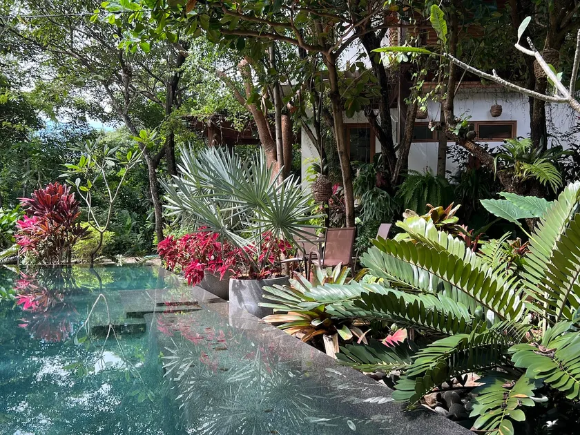 Plumeria Guest House - Image 1