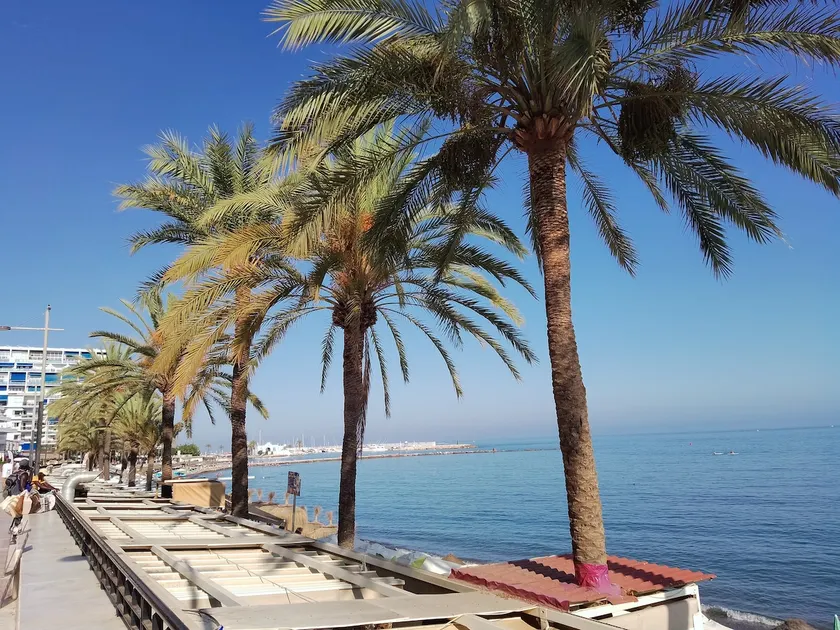 Marbella Center - 6 persones - beach at 250 m - Image 1