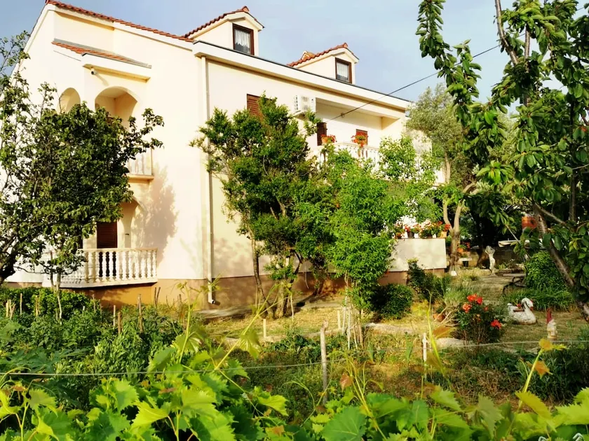 Apartment Ivan Vrsi - Image 1
