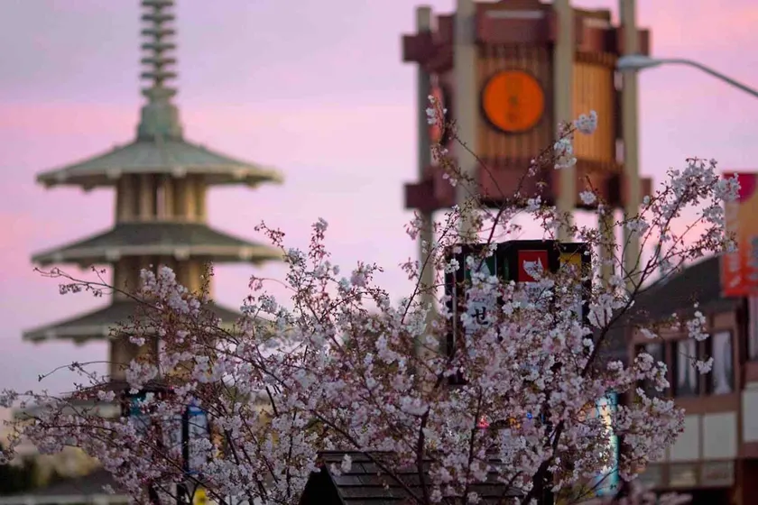 Victorian in Japantown - Image 1